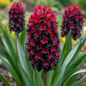 Гиацинт Джем Стоун купить по цене от 2099р. в интернет-магазине «Посадика» с доставкой почтой в в Рузаевкае и по всей России – [изображение №1].